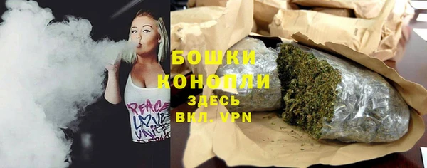 ECSTASY Богданович
