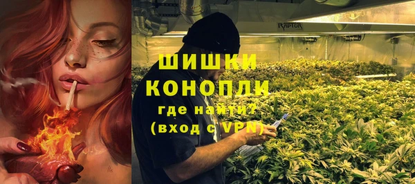 спиды Богородицк