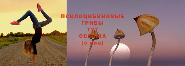 спиды Богородицк