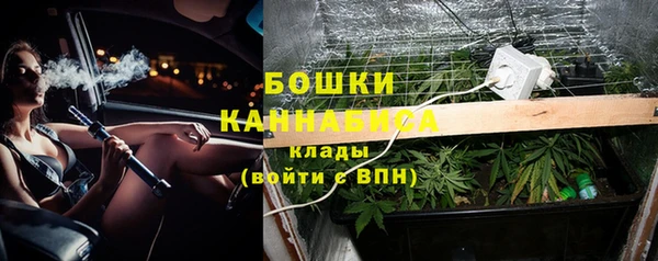 спиды Богородицк