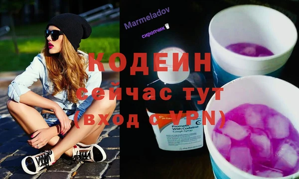 ECSTASY Богданович