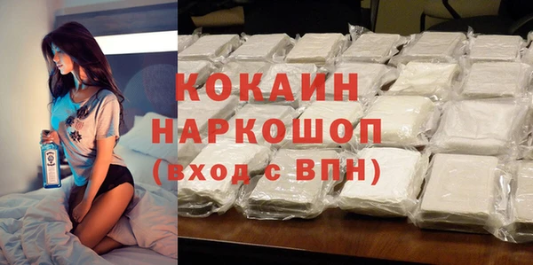 ECSTASY Богданович