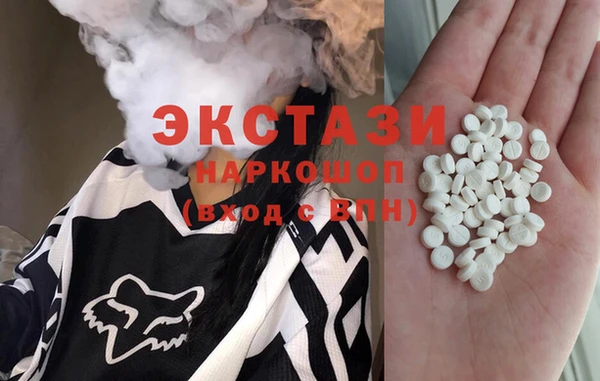 ECSTASY Богданович