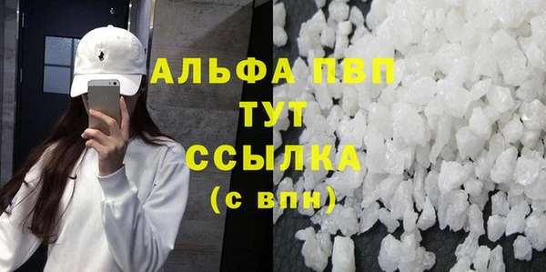 спиды Богородицк