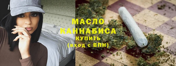 ECSTASY Богданович