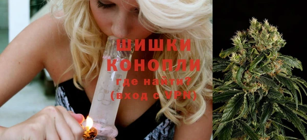 спиды Богородицк