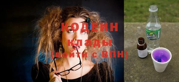 спиды Богородицк