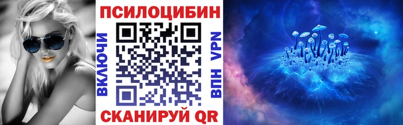 OMG ссылки  Белоозёрский  Галлюциногенные грибы Psilocybine cubensis 
